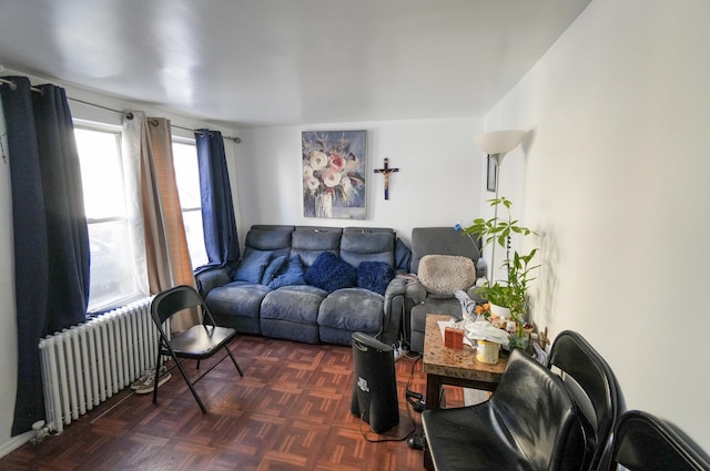 living room with dark parquet flooring and radiator heating unit