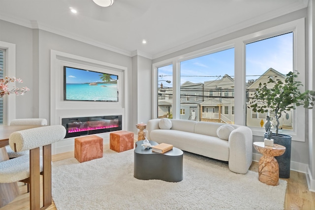 living room featuring ornamental molding and light hardwood / wood-style floors