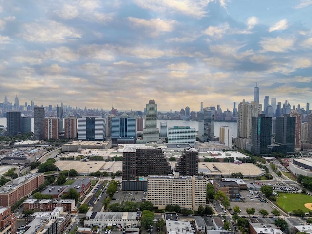 297 Pavonia Ave Unit 2A, Jersey City, NJ 07302 - photo 44