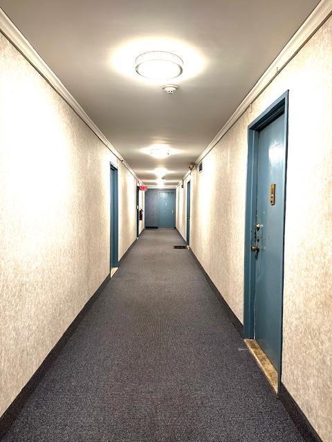 hall with carpet floors, a textured wall, and ornamental molding