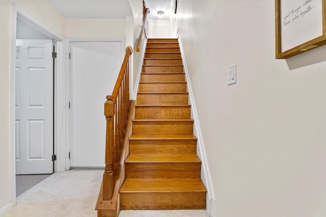 staircase with carpet floors and baseboards