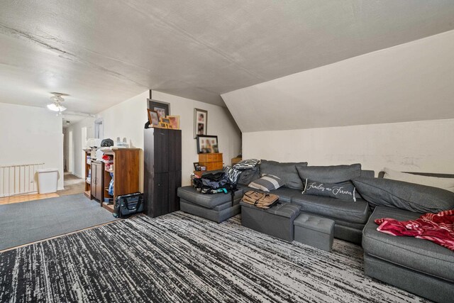 57 W 5th St, Bayonne, NJ 07002 - carpeted living room featuring lofted ceiling and radiator