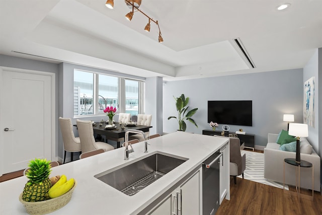 kitchen with dark wood-style flooring, a sink, open floor plan, light countertops, and a tray ceiling