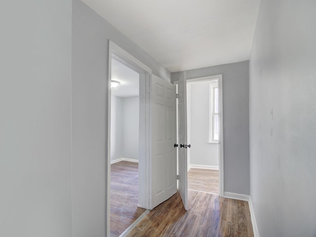 hall featuring wood-type flooring