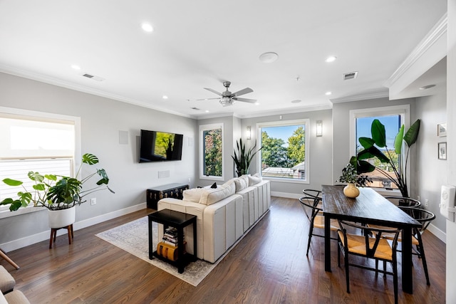 living room with dark wood-type flooring, ceiling fan, and crown molding