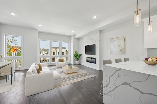 living room with a fireplace and dark hardwood / wood-style floors