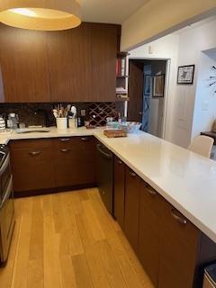 kitchen featuring tasteful backsplash, light countertops, light wood-style flooring, dishwasher, and a peninsula