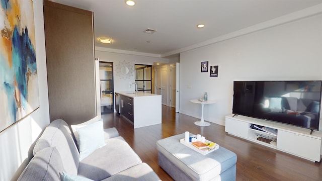 living room featuring dark hardwood / wood-style flooring and sink