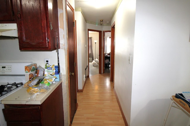 154 Fairmount Ave, Jersey City, NJ 07304 - corridor with light wood finished floors and baseboards