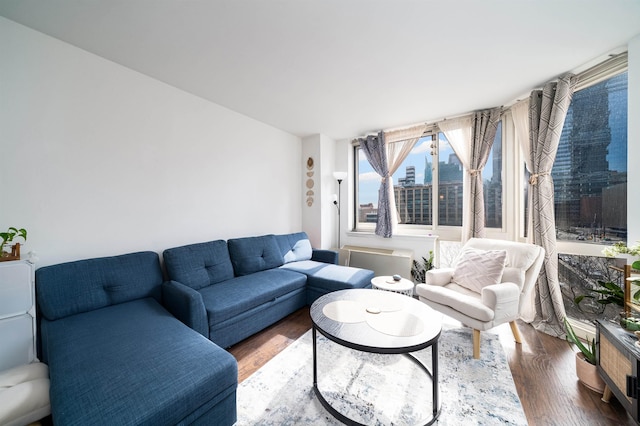 living area with dark wood-style flooring