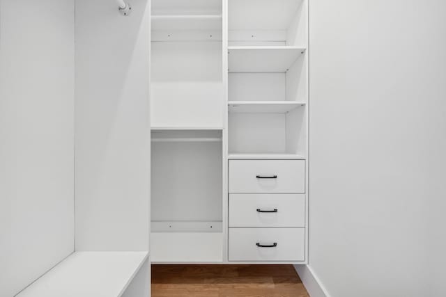 walk in closet with wood-type flooring