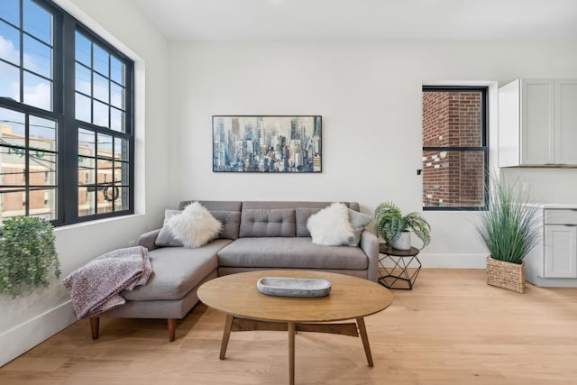 living room featuring light hardwood / wood-style floors