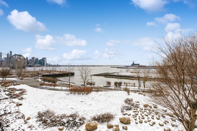 yard covered in snow with a water view