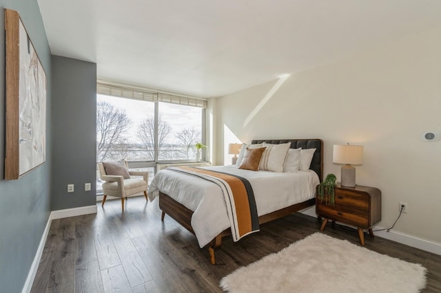 bedroom featuring floor to ceiling windows and dark hardwood / wood-style floors