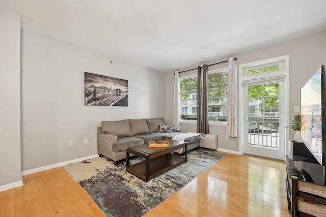 living room featuring wood-type flooring