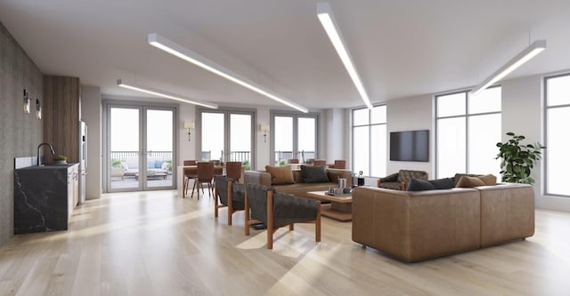 living area with light wood-type flooring, french doors, and a healthy amount of sunlight