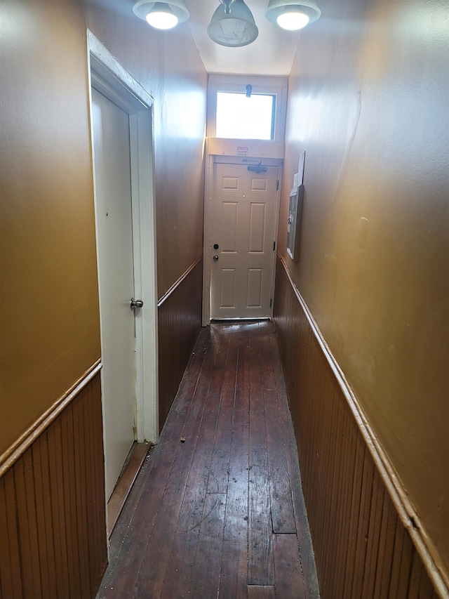 doorway to outside with dark hardwood / wood-style floors and wood walls