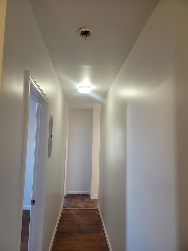 hallway featuring electric panel and dark hardwood / wood-style flooring