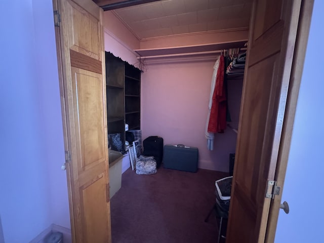 spacious closet featuring dark colored carpet