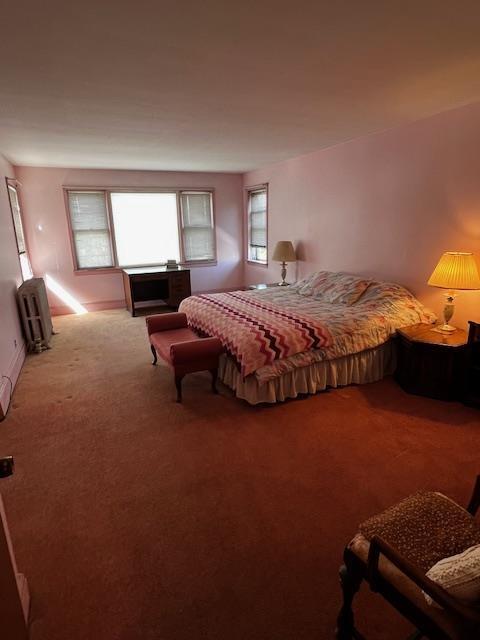 40 E 31st St, Bayonne, NJ 07002 - view of carpeted bedroom