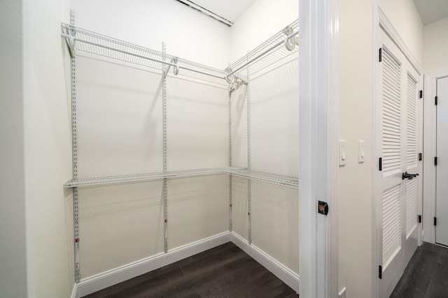 walk in closet with dark wood-type flooring