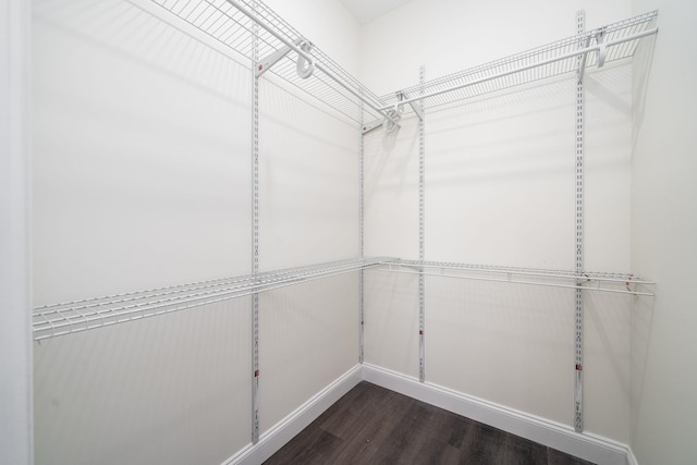 walk in closet featuring dark wood-type flooring