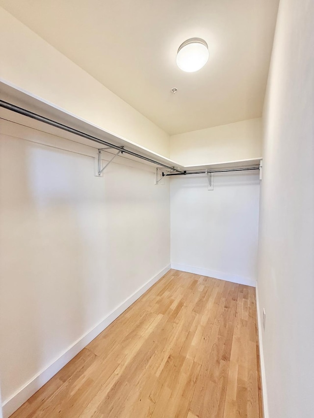 spacious closet with light wood-type flooring