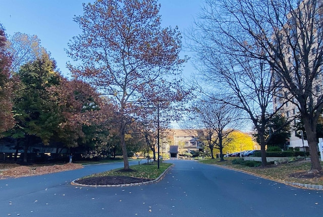 view of street