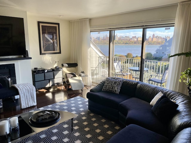 living room with a water view, wood finished floors, and a fireplace