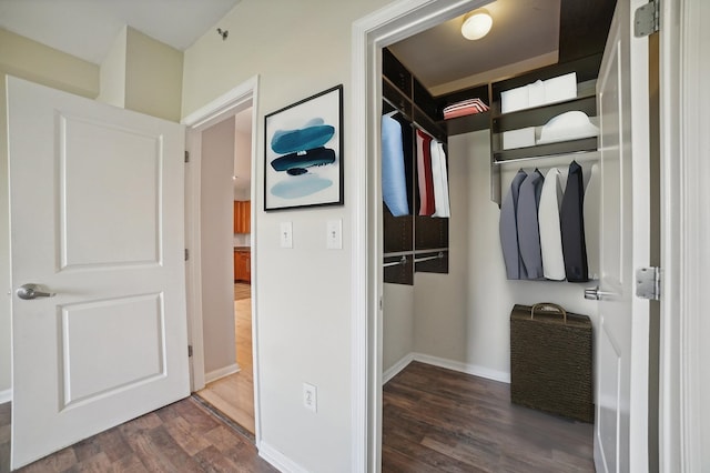 spacious closet with dark wood-type flooring