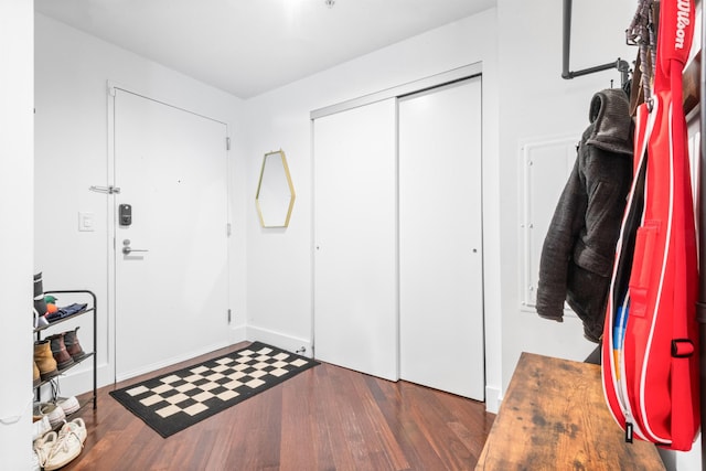 foyer entrance with dark wood-type flooring