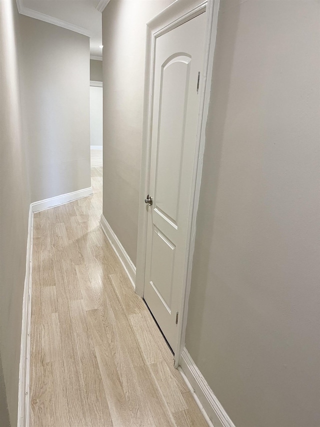 18 74th St Unit D5, North Bergen, NJ 07047 - corridor featuring crown molding, light wood-style floors, and baseboards