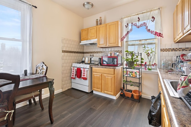 kitchen featuring light brown cabinets, under cabinet range hood, white range with gas stovetop, plenty of natural light, and dark wood finished floors