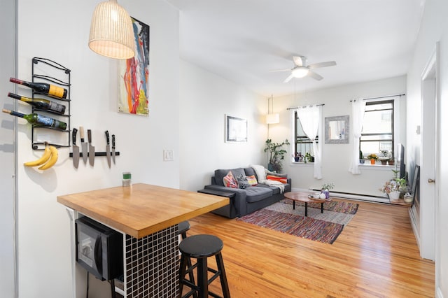 living room with ceiling fan and hardwood / wood-style flooring