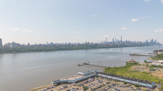 238 Undercliff Ave, Edgewater, NJ 07020 - water view with skyline