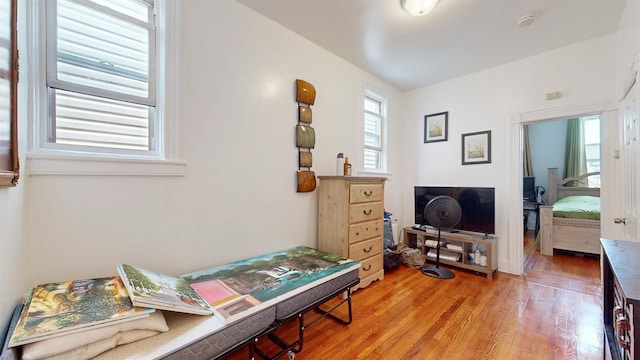 living area featuring wood-type flooring