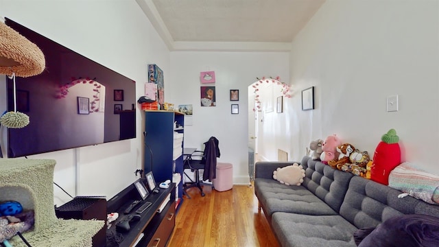 living room with wood-type flooring