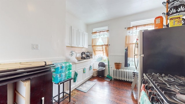 kitchen with white cabinets, appliances with stainless steel finishes, dark wood-type flooring, and radiator