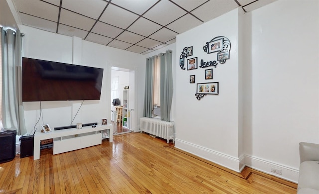 living room with wood-type flooring, a paneled ceiling, and radiator heating unit