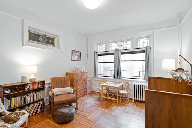 living area with radiator