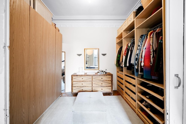 233 Summit Ave, Jersey City, NJ 07304 - view of walk in closet