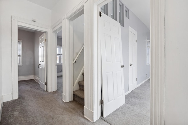 stairs with carpet floors and baseboards