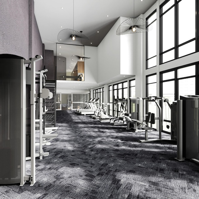 gym featuring carpet