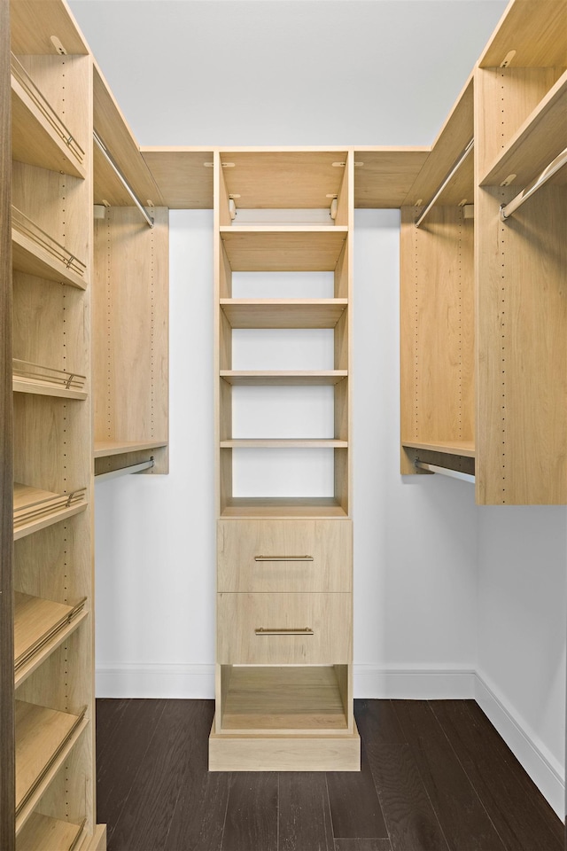 spacious closet with dark wood-type flooring