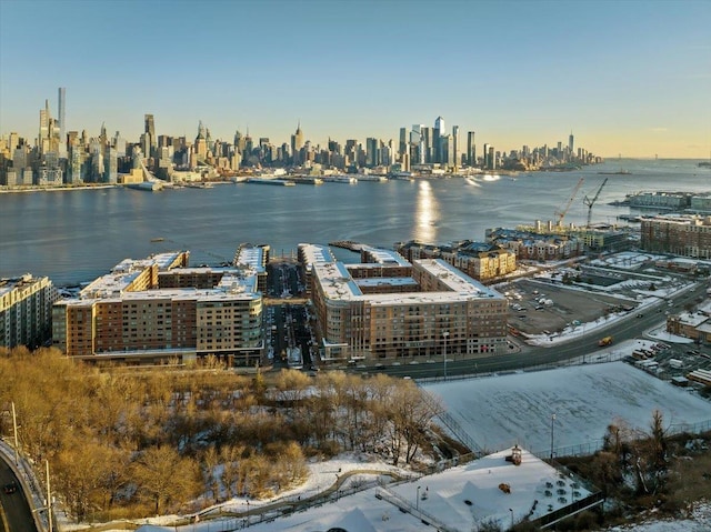 drone / aerial view with a view of city and a water view