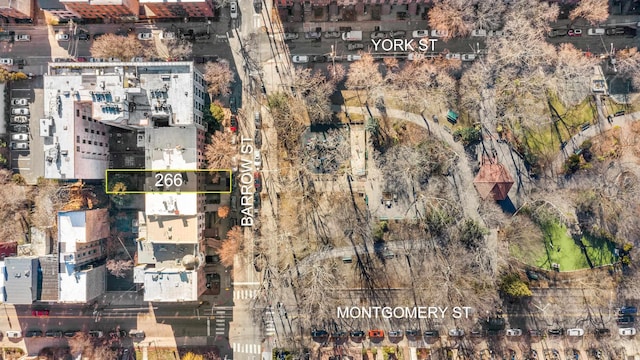 266 Barrow St, Jersey City, NJ 07302 - photo 28