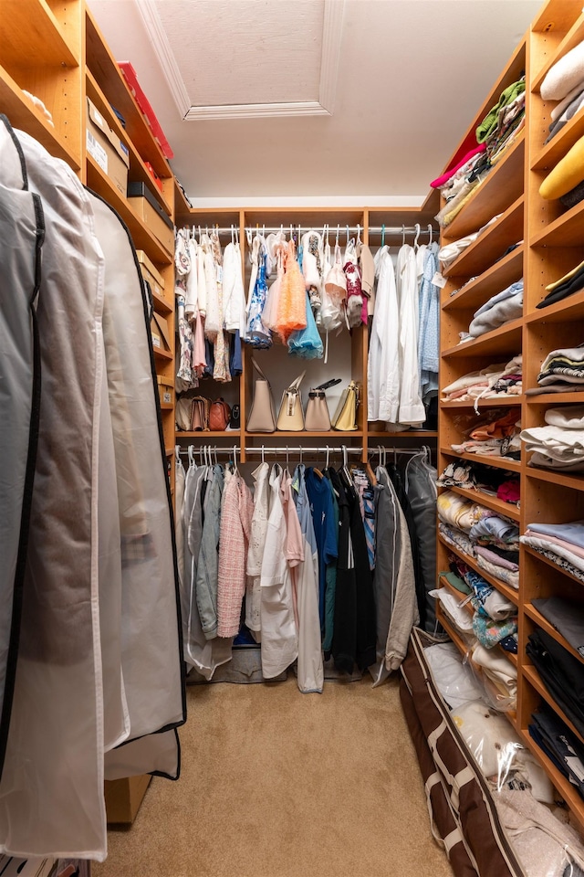 12 Davey Dr, West Orange, NJ 07052 - spacious closet with attic access and carpet floors