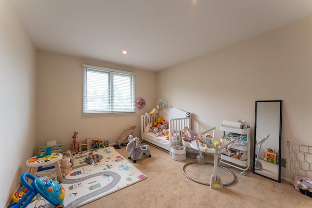 12 Davey Dr, West Orange, NJ 07052 - recreation room with carpet floors