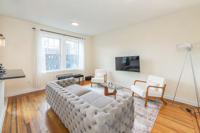 living room with hardwood / wood-style floors