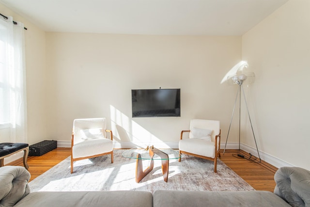 living room with hardwood / wood-style floors